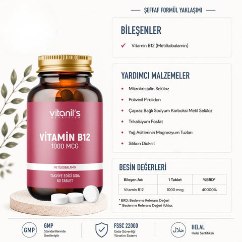 Vitanil's Vitamin B12 60 Tablet